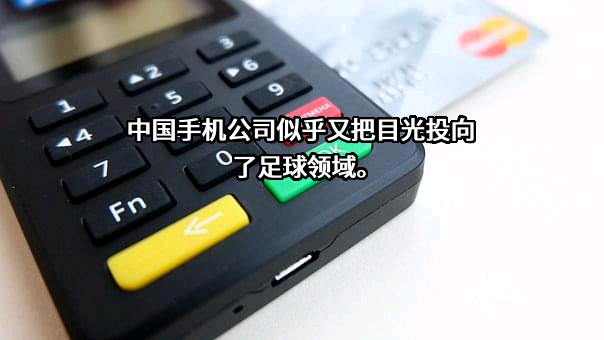 中国友好和平发展基金会