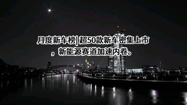 比亚迪股份有限公司