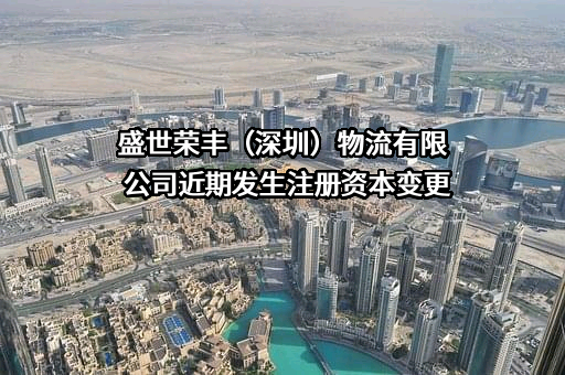 盛世荣丰（深圳）物流有限公司