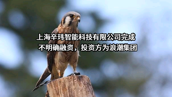 上海辛玮智能科技有限公司