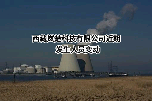 西藏岚楚科技有限公司