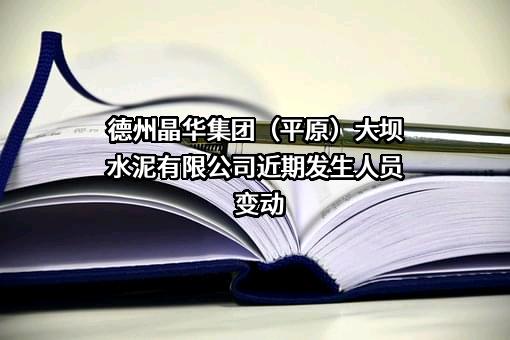 德州晶华集团（平原）大坝水泥有限公司