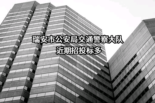 瑞安市公安局交通警察大队