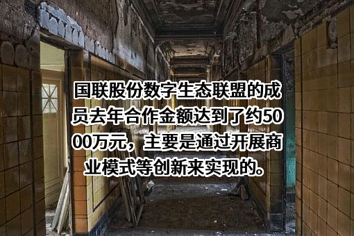 北京国联视讯信息技术股份有限公司