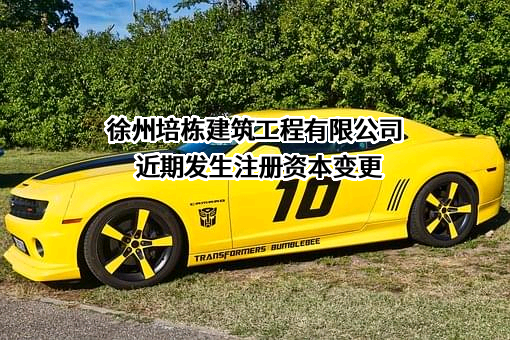 徐州培栋建筑工程有限公司