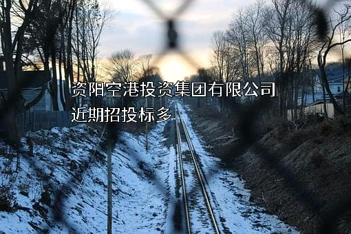 资阳空港投资集团有限公司