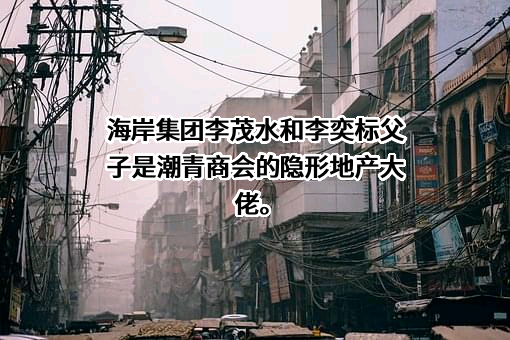 广西海岸实业集团有限公司