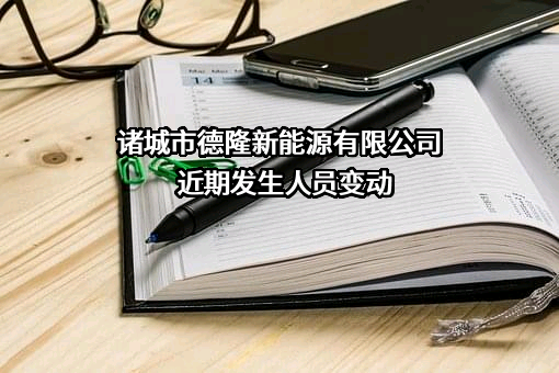 诸城市德隆新能源有限公司