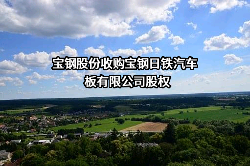 宝山钢铁股份有限公司