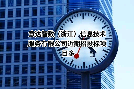 意达智数（浙江）信息技术服务有限公司