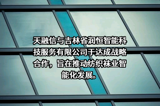 吉林省润恒智能科技服务有限公司