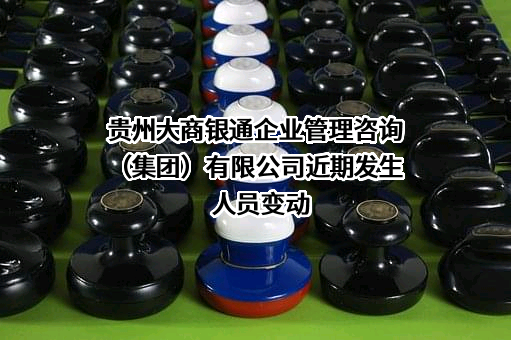 贵州大商银通企业管理咨询（集团）有限公司