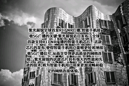 紫光展锐（上海）科技有限公司
