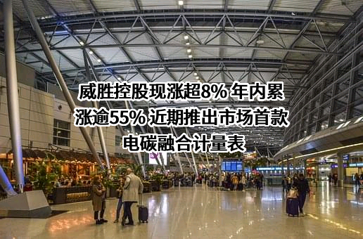 威胜集团有限公司