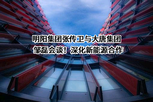 明阳新能源投资控股集团有限公司