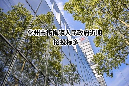 化州市杨梅镇人民政府近期招投标项目多