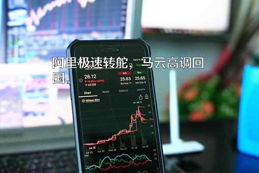 阿里巴巴集团控股有限公司