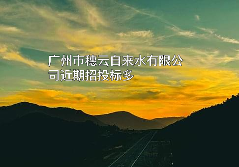 广州市穗云自来水有限公司