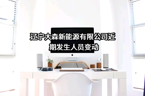 辽宁大森新能源有限公司