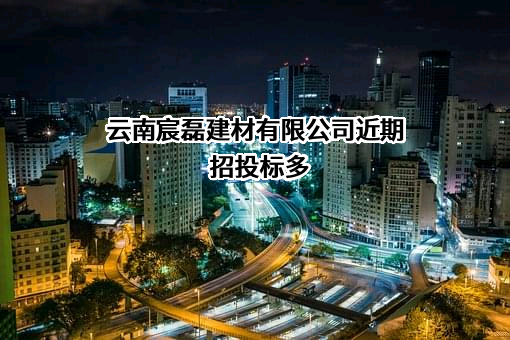 云南宸磊建材有限公司