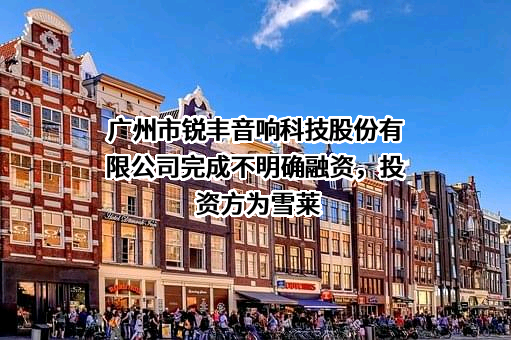 广州市锐丰音响科技股份有限公司完成不明确融资，投资方为雪莱