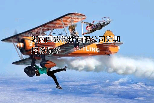 湖南四毅软件有限公司