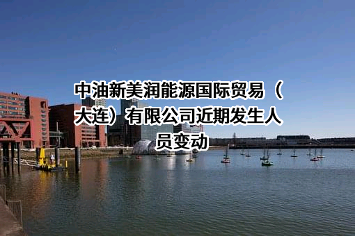中油新美润能源国际贸易（大连）有限公司