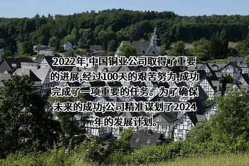 中国铜业有限公司