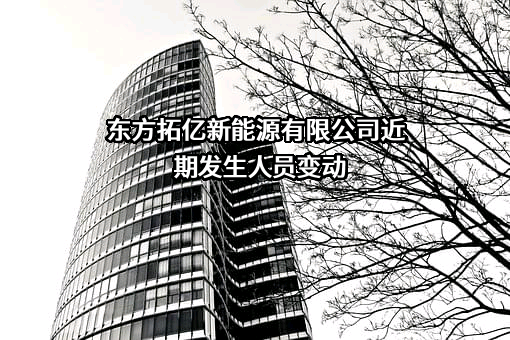 东方拓亿新能源有限公司