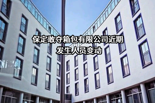 保定敢夺箱包有限公司