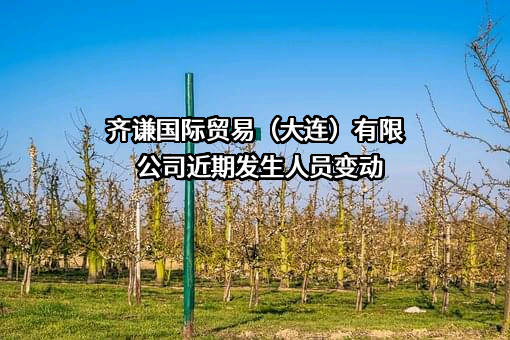 齐谦国际贸易（大连）有限公司