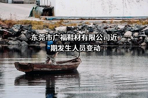 东莞市广福鞋材有限公司