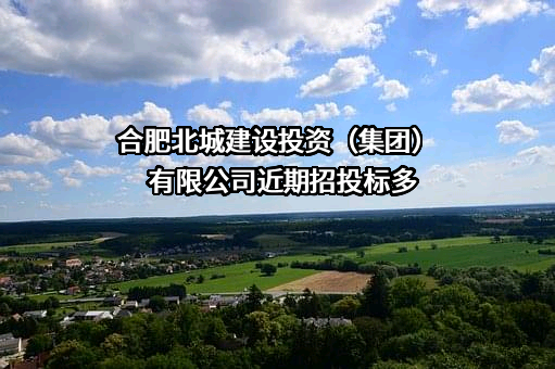 合肥北城建设投资（集团）有限公司
