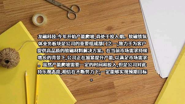 安徽龙磁科技股份有限公司