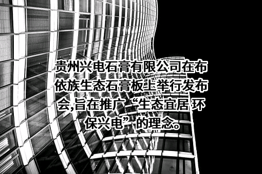 贵州兴电石膏有限公司