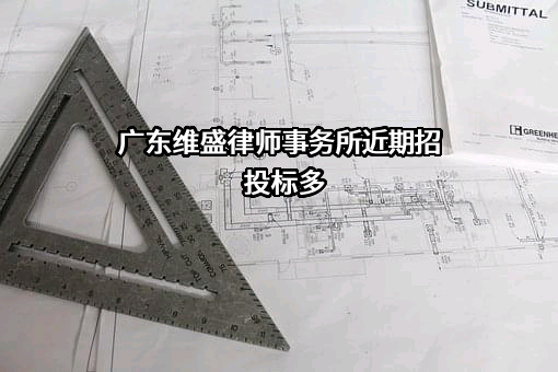 广东维盛律师事务所