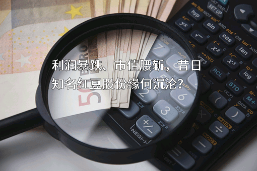 江苏红豆实业股份有限公司