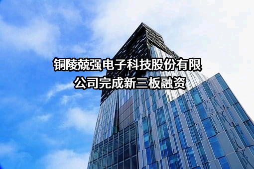 铜陵兢强电子科技股份有限公司