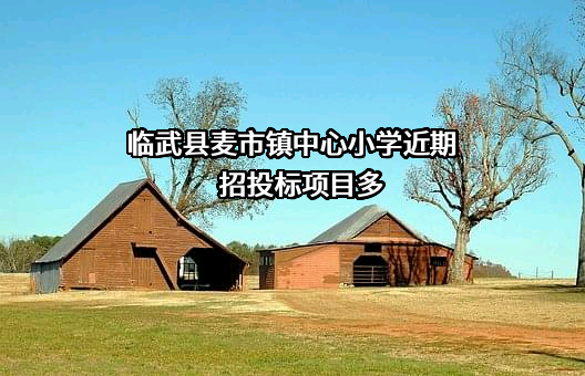 临武县麦市镇中心小学近期招投标项目多