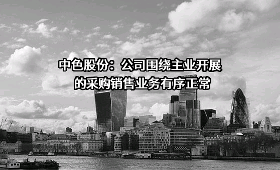 中国有色金属建设股份有限公司