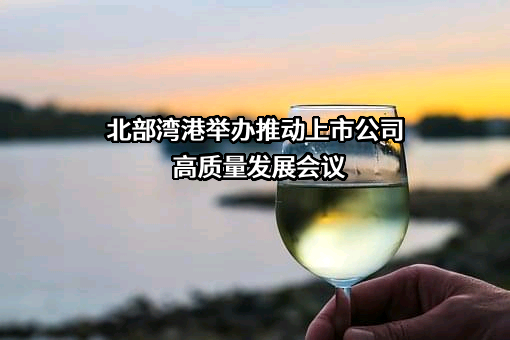 北部湾港股份有限公司