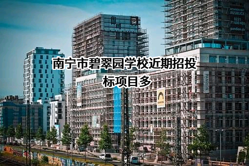 南宁市碧翠园学校