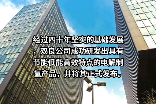 双良节能系统股份有限公司