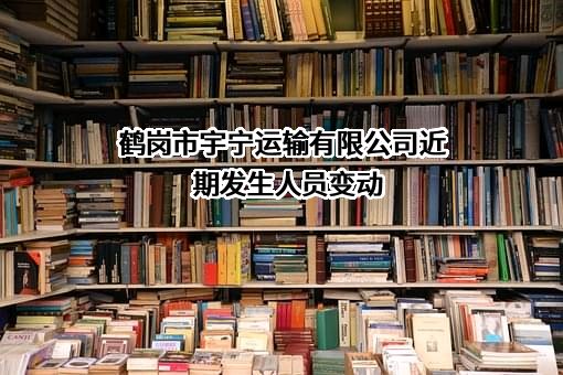 鹤岗市宇宁运输有限公司