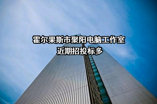 霍尔果斯市聚阳电脑工作室