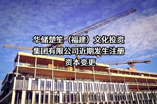 华储楚笙（福建）文化投资集团有限公司