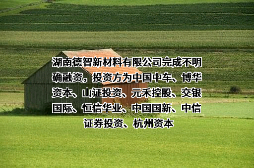 湖南德智新材料有限公司
