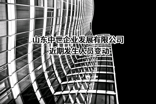 山东中世企业发展有限公司