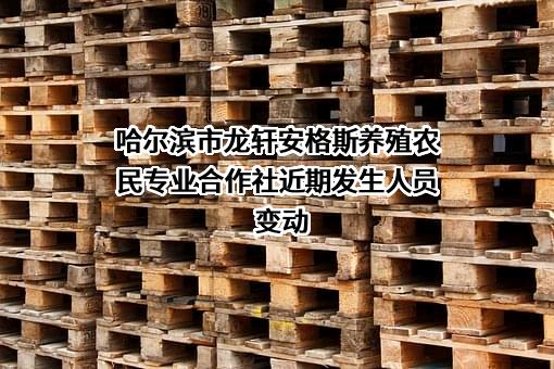 哈尔滨市龙轩安格斯养殖农民专业合作社