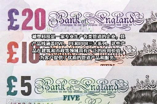 广东雄塑科技集团股份有限公司